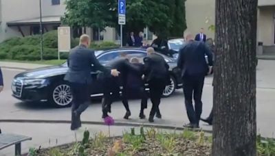 Video: How Slovak PM's Bodyguards Swung Into Action After He Was Shot