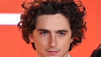 Glasgow Willy Wonka experience LA organisers clarify Timothee Chalamet will not be attending