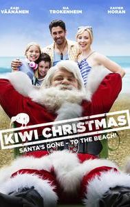 Kiwi Christmas