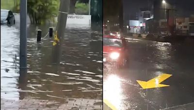 Fuerte tormenta provoca la caída árboles y apagones en Guadalajara | El Universal