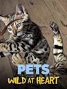 Pets: Wild at Heart