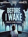 Before I Wake