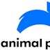 Animal Planet (Canadian TV channel)