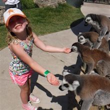 Zoo Near Me: A Quick Guide to the Best Zoos in Your City