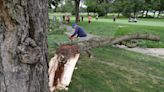 Large tree limb falls, strikes spectator at Firestone Country Club before Kaulig Companies Championship