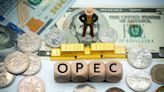 OPEC+ not expected to change supply levels after market and price stabilisation