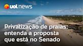 Privatização de praias: entenda o que muda com proposta que está no Senado