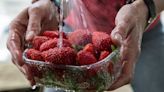 The 1 Thing That'll Wash Pesticides Off Fruits And Vegetables