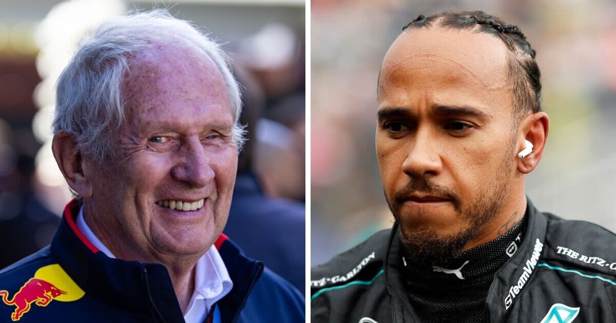 Lewis Hamilton 'really surprised' Helmut Marko as Red Bull chief bigs up Brit