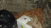 Robaron material radiactivo en Saavedra y encontraron la caja en un contenedor de basura en Chacarita