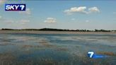 Harmful algal bloom possibly spotted at Indian Lake