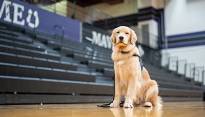 Governor and First Lady Justice welcome new therapy dog at James Monroe High School