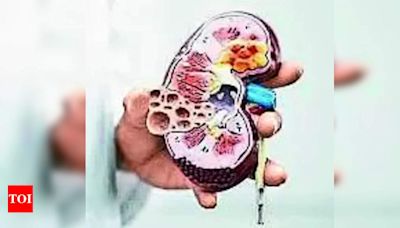 Obesity and Family History Linked to Renal Problems in Children and Adolescents in Telangana and Andhra Pradesh | Hyderabad News - Times of India