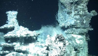 Discovery of 'cosmic tree of life' hydrothermal vent ecosystems in the Arctic region