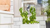The 10 Best Indoor Smart Gardens of 2023, Tested and Reviewed