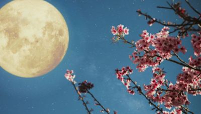 Luna llena de mayo 2024: a qué hora es, dónde y cuándo ver la Luna Llena de Flores