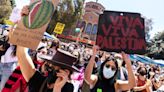 "Protestan por Gaza como en su día hicieron por Vietnam": cómo el campus de la UCLA en Los Ángeles refleja la tensión que genera en EE.UU. el conflicto entre israelíes y palestinos