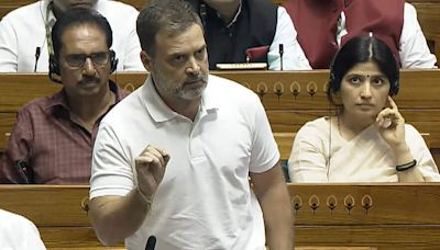 Rahul Gandhi scores on performance but questions on substance remain unanswered