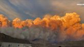 Colorado’s Forest Service is trying to create more fire-resistant forests after they burn