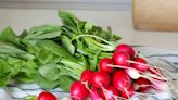 The Right Way to Store Radishes and Their Greens