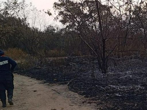 Emiten alerta roja en el Huila: incendios están acabando con parte (grande) de bosques