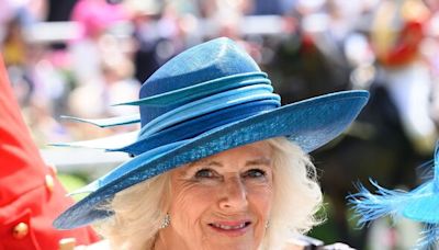 Harry goes viral with scathing two-word remark about Camilla