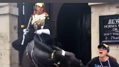 Watch: King’s Guard Horse Bites Tourist Trying To Get A Picture With It - News18