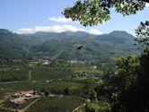 Coffee production in Costa Rica