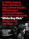 Cocaine - La vera storia di White Boy Rick