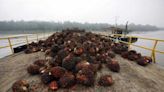 Indonésia espera recuperação das exportações de óleo de palma em abril
