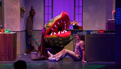 Review: Three days left to see 'Little Shop of Horrors' showing in Falmouth or Cotuit