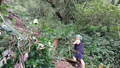 開放才一天…北大武山步道坍塌搶修至少一個月 檜谷山莊山友昨已離開