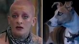 Furia volvió a enojarse con el perro Arturo en Gran Hermano y el video se hizo viral: le pegó un puntinazo