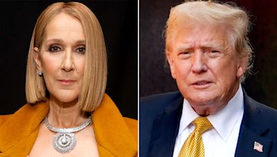 Celine Dion calls out Donald Trump for playing 'My Heart Will Go On' at campaign rally: 'Really, THAT song?'