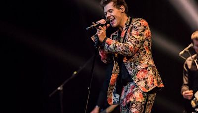 Harry Styles’ stalker caged and barred from watching his gigs