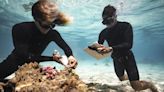 'A vida dos oceanos é o que nos mantém vivos', afirma a bióloga marinha Sylvia Earle