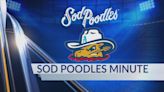 Sod Poodles Minute: Interview with Tim Tawa