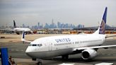 Snake on a plane: Unwanted reptile passenger sneaks onto United flight