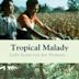 Tropical Malady