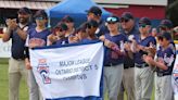 'A lot at stake' — Ontario's best young players chase Little League World Series dreams in Windsor