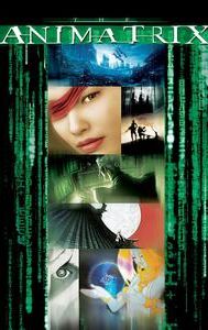 The Animatrix