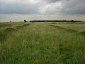 Bardney Abbey