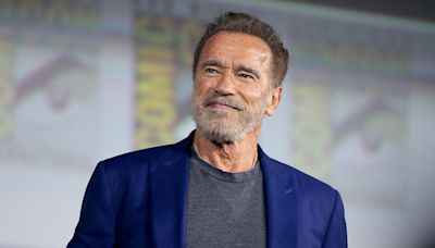 Idosa de SP manda R$ 238 mil para golpistas que se passavam por Schwarzenegger