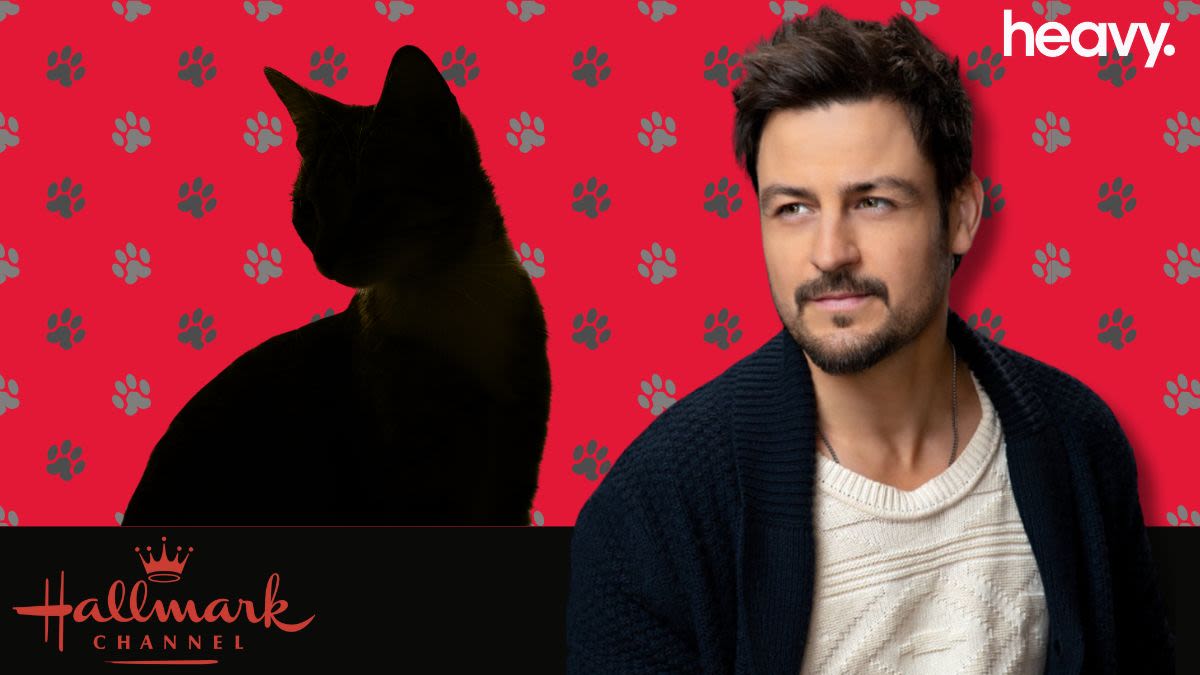 Tyler Hynes Teams Up with Purrrfect Cat Co-Star in New Hallmark Movie