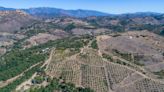 Sandra Bullock asks $6 million for Southern California ranch