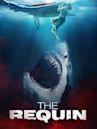 The Requin – Der Hai