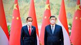 China, Indonesia hail 'win-win' cooperation after rare Beijing summit