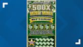 Ionia County man plans to buy new tools, pay his bills and save the rest of $100,000 lottery winnings