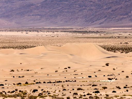 Persistent heat wave in the US shatters new records, causes deaths in the West and grips the East