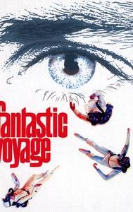 Fantastic Voyage